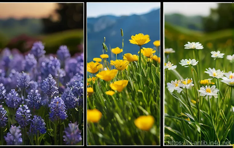 앤티가 바부다 의료 시스템 - Here are three image prompts in English, designed to be detailed, appropriate for a 15-year-old audi...